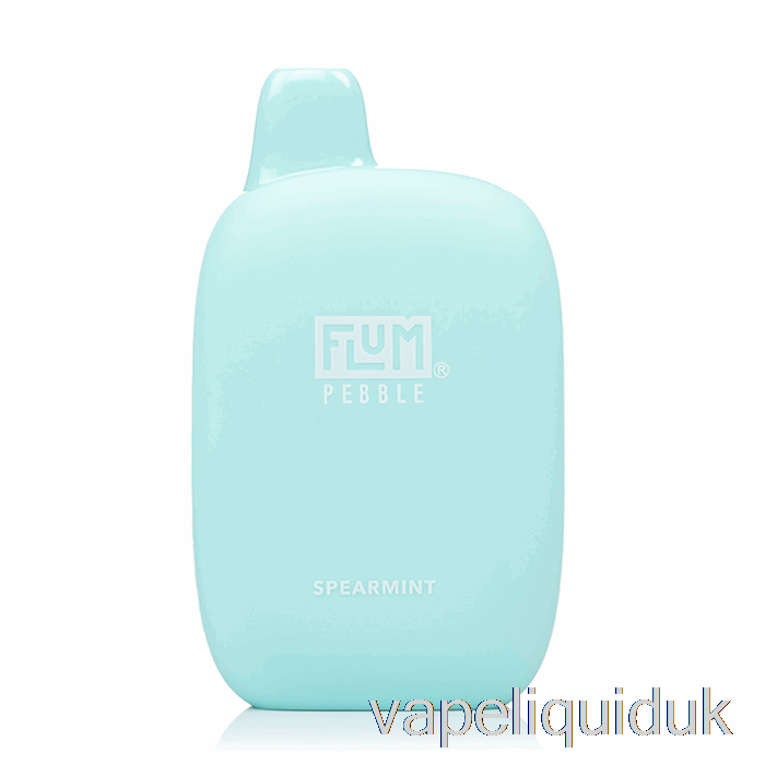 Flum Pebble 6000 Disposable Spearmint Vape Juice